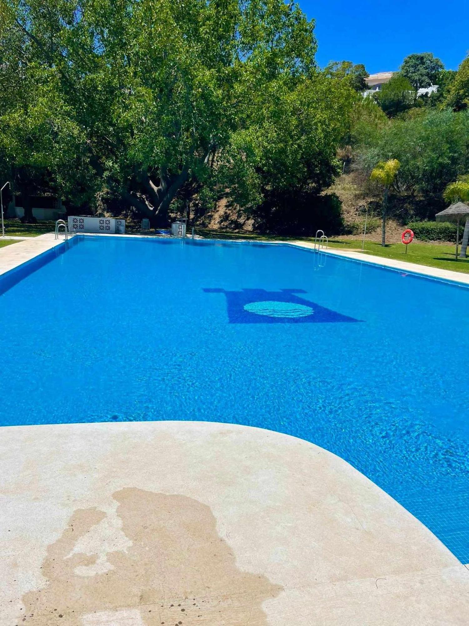 La Villa Escondida 1 Precioso Estudio Vista Al Mar Μάλαγα Εξωτερικό φωτογραφία